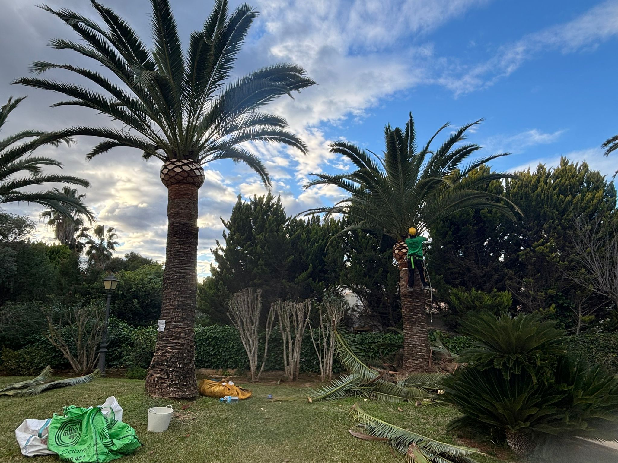 JGPS Garden